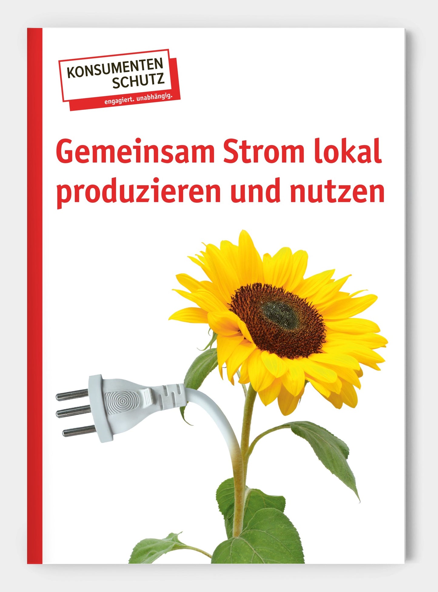 Gemeinsam Strom lokal produzieren und nutzen