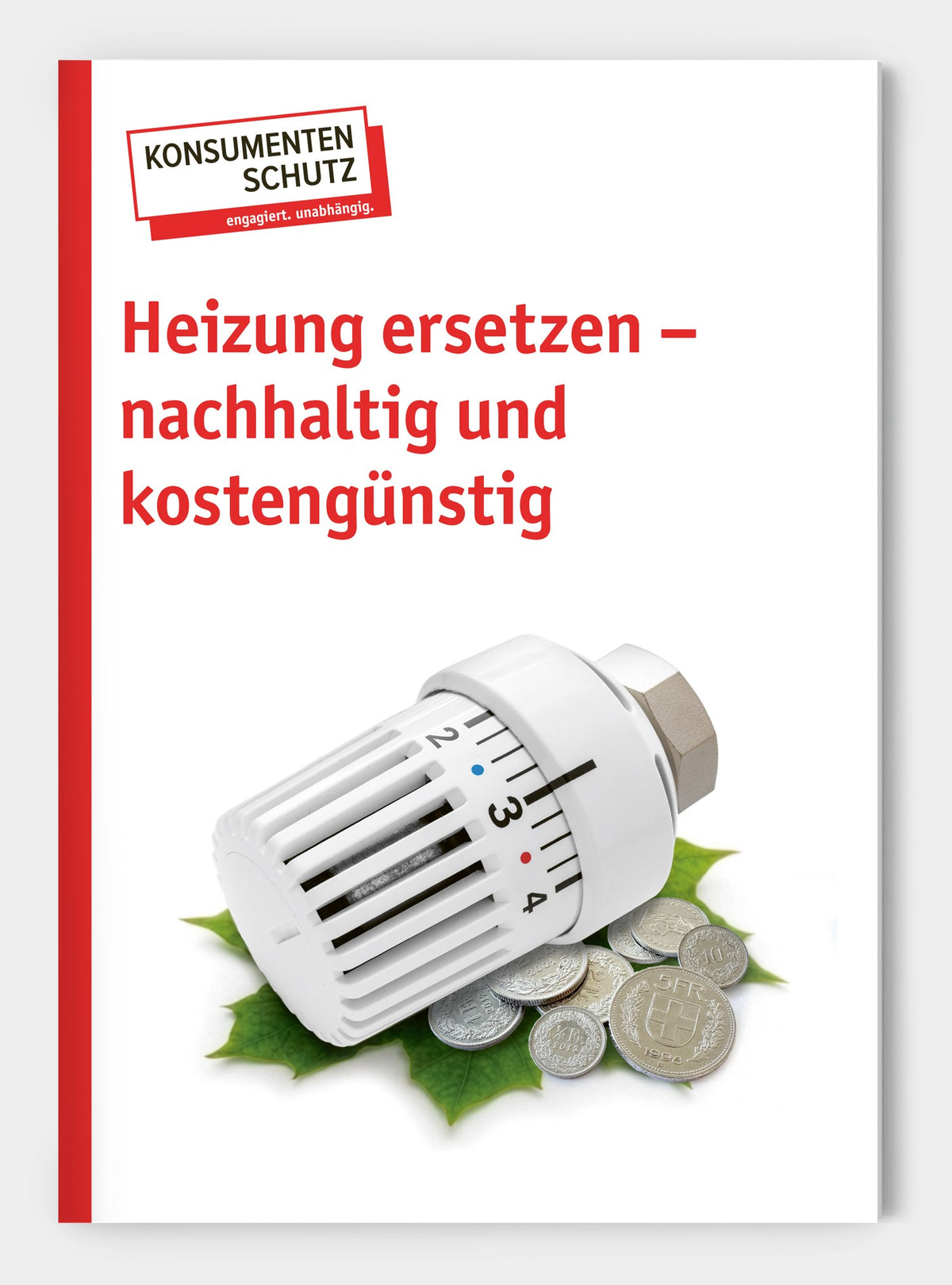 Heizung ersetzen - nachhaltig und kostengünstig